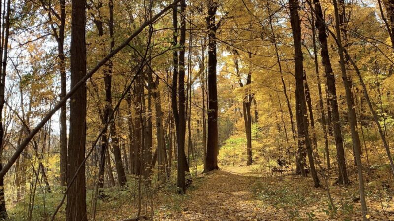 Blickman Educational Trail Park - Indianapolis, IN