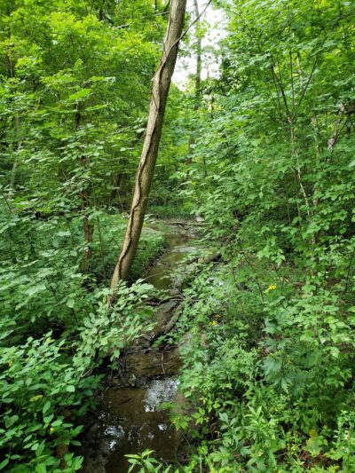Blickman Educational Trail Park - Indianapolis, IN