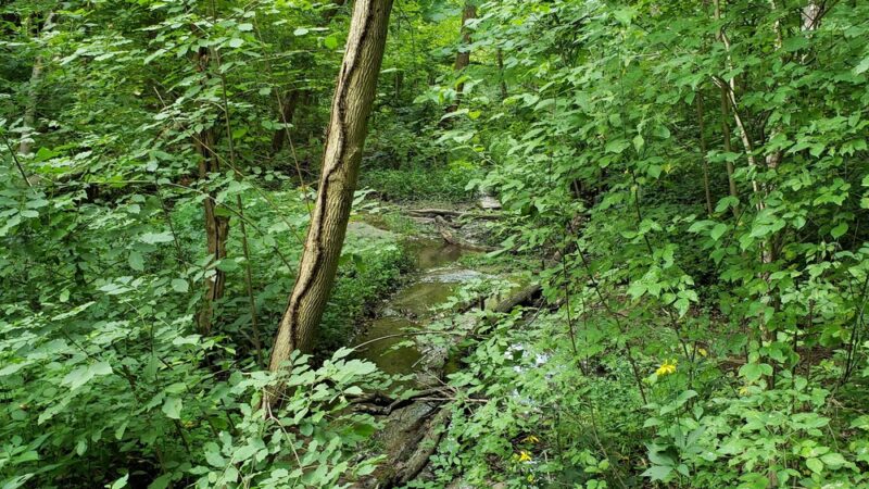 Blickman Educational Trail Park - Indianapolis, IN