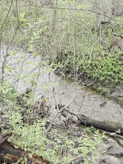 Daubenspeck Community Nature Park - Indianapolis, IN