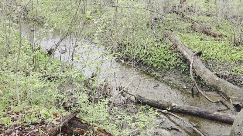 Daubenspeck Community Nature Park - Indianapolis, IN