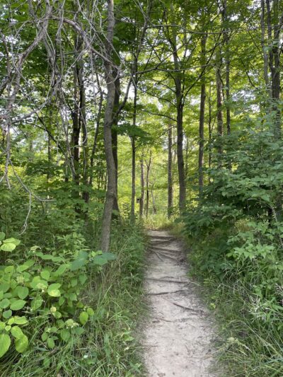 Daubenspeck Community Nature Park - Indianapolis, IN