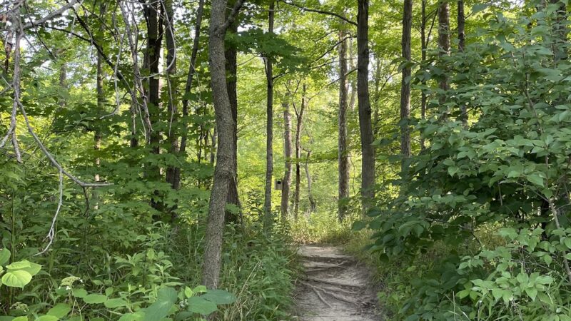 Daubenspeck Community Nature Park - Indianapolis, IN