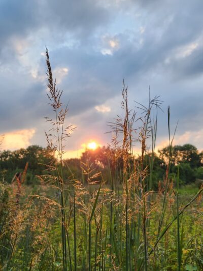 Daubenspeck Community Nature Park - Indianapolis, IN
