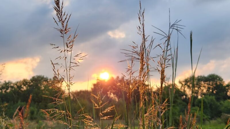 Daubenspeck Community Nature Park - Indianapolis, IN