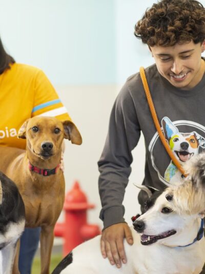 Dogtopia of Meridian North - Indianapolis, IN