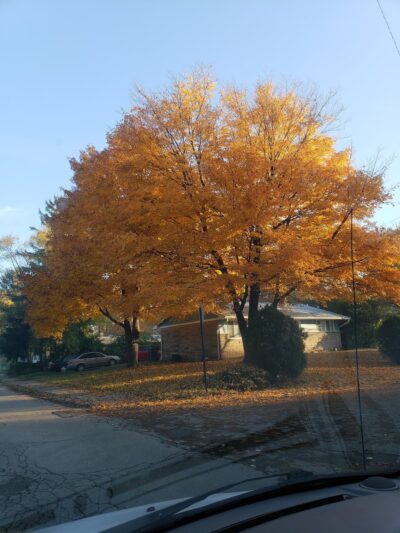 Doris Cowherd Park - Indianapolis, IN