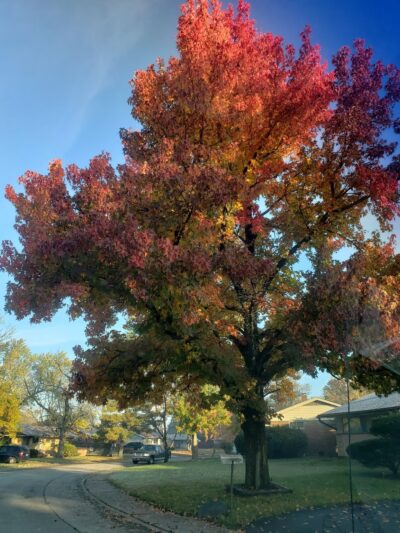 Doris Cowherd Park - Indianapolis, IN