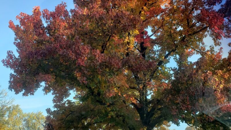 Doris Cowherd Park - Indianapolis, IN