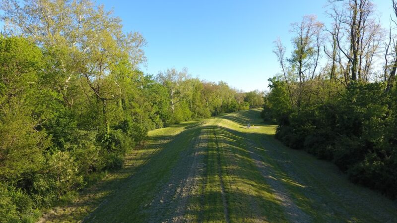 Friedman Park - Indianapolis, IN