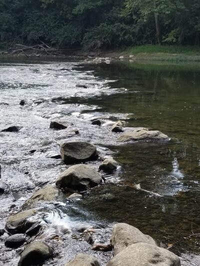 Friedman Park - Indianapolis, IN