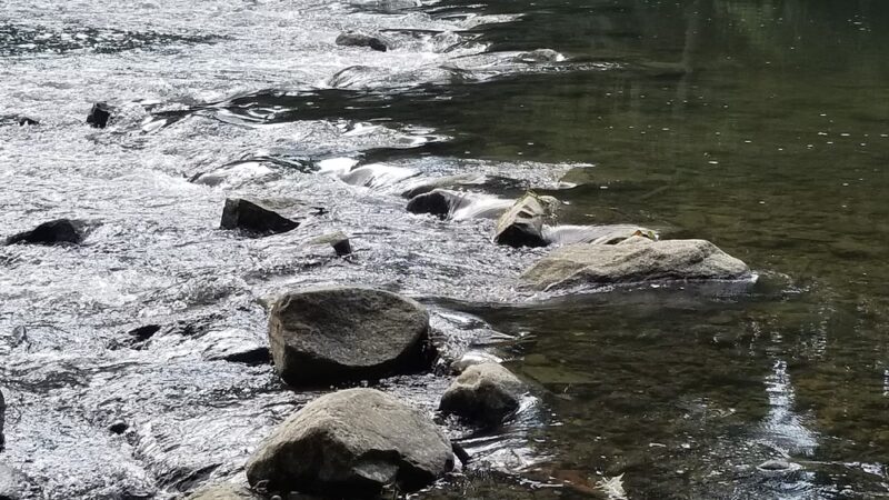 Friedman Park - Indianapolis, IN