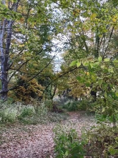 Glenns Valley Nature Park - Indianapolis, IN