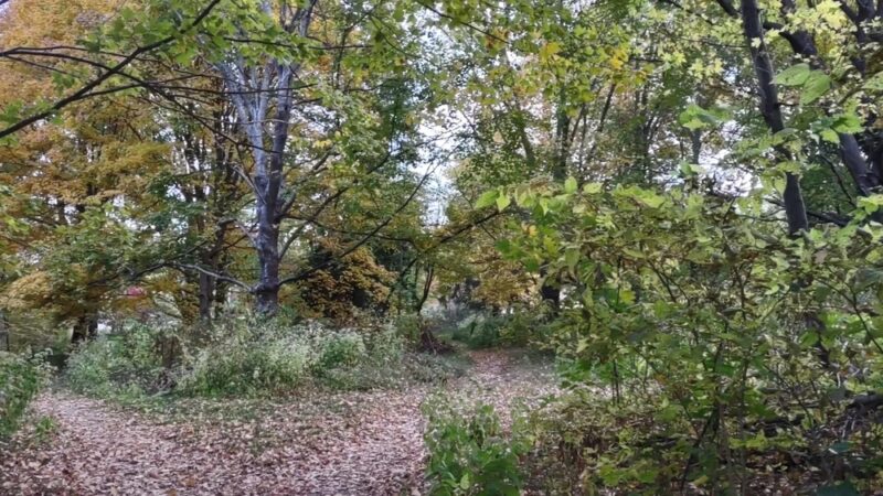 Glenns Valley Nature Park - Indianapolis, IN
