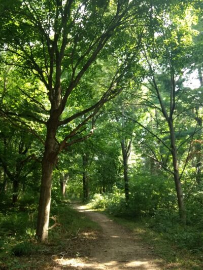 Glenns Valley Nature Park - Indianapolis, IN
