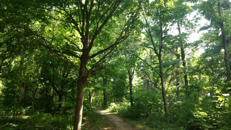 Glenns Valley Nature Park - Indianapolis, IN