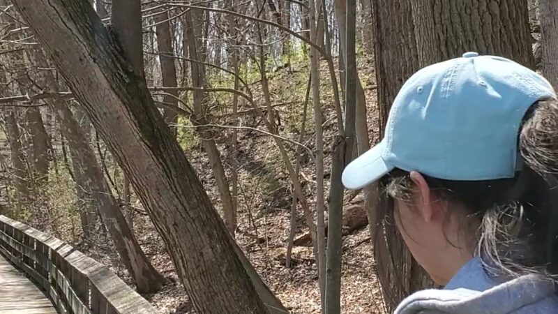 Holliday Park Nature Center - Indianapolis, IN