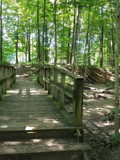 Marott Woods Nature Preserve - Indianapolis, IN