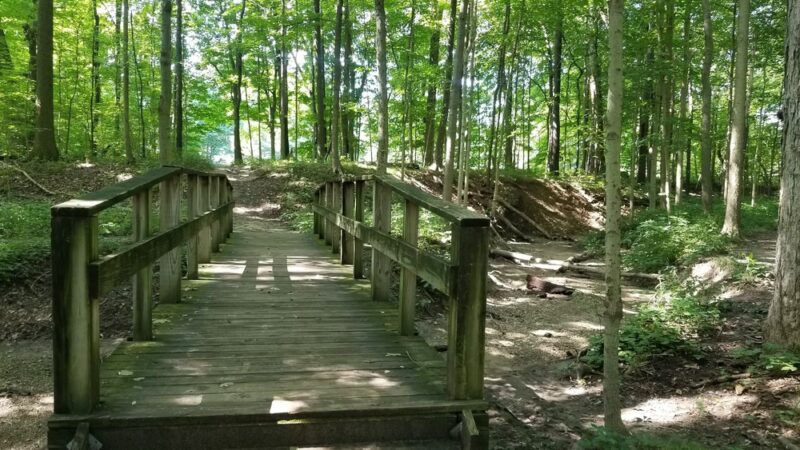 Marott Woods Nature Preserve - Indianapolis, IN