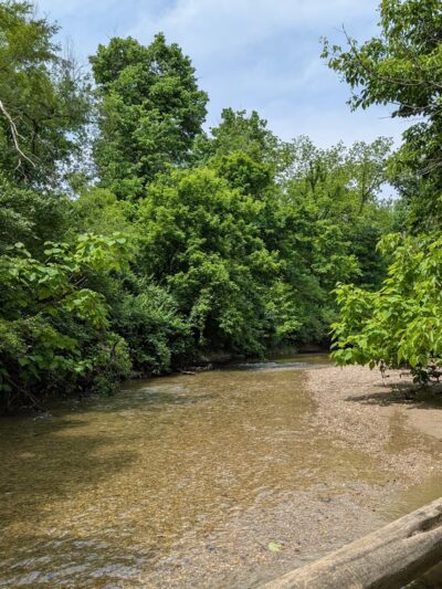 Marott Woods Nature Preserve - Indianapolis, IN
