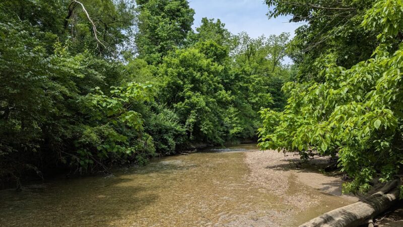 Marott Woods Nature Preserve - Indianapolis, IN
