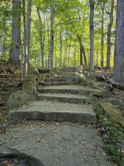Marott Woods Nature Preserve - Indianapolis, IN