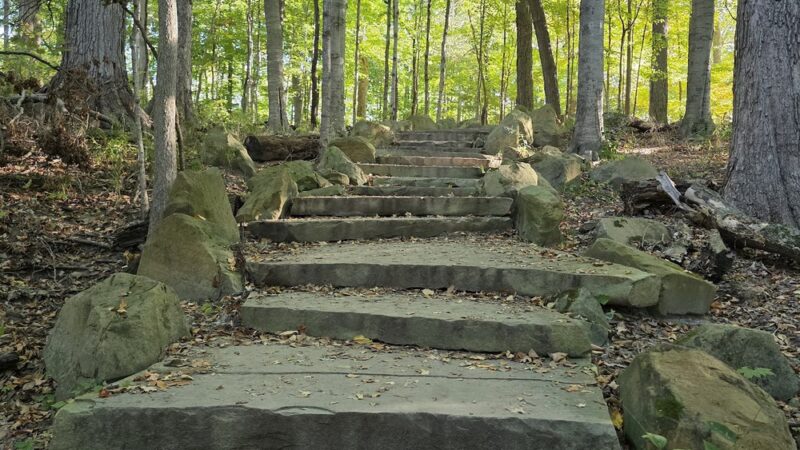 Marott Woods Nature Preserve - Indianapolis, IN