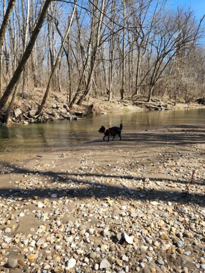 Marott Woods Nature Preserve - Indianapolis, IN