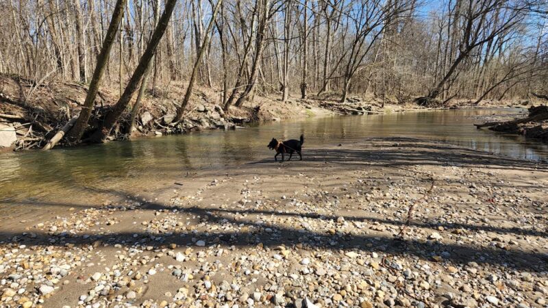 Marott Woods Nature Preserve - Indianapolis, IN