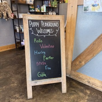 Puppy Playground - Indianapolis, IN