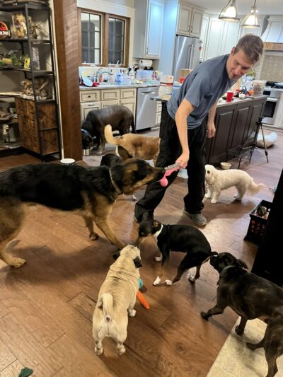 The Dog House at Edgewood - Indianapolis, IN