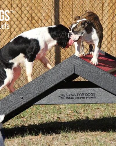 The Dog Park Company - Indianapolis, IN