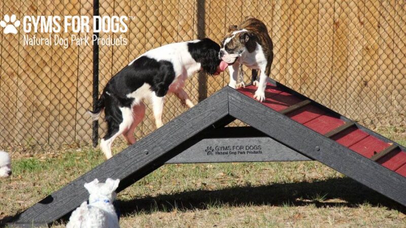 The Dog Park Company - Indianapolis, IN