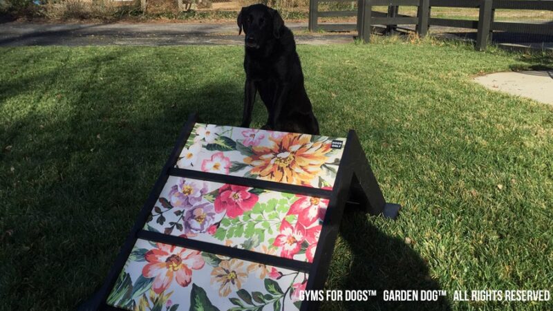 The Dog Park Company - Indianapolis, IN