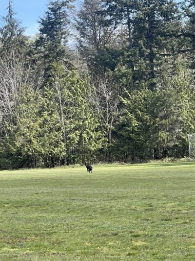 Indianola Park - Indianola, WA