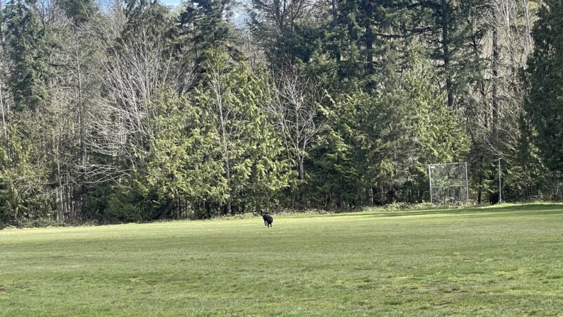 Indianola Park - Indianola, WA