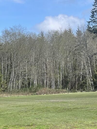 Indianola Park - Indianola, WA