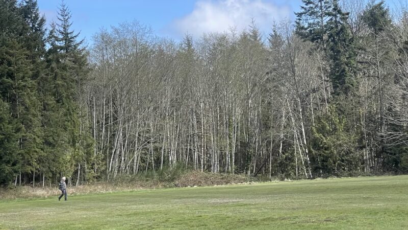 Indianola Park - Indianola, WA