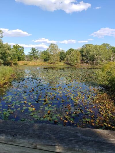 Grant Woods Forest Preserve - Ingleside, IL