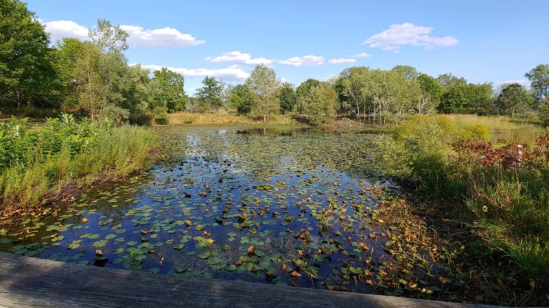 Grant Woods Forest Preserve - Ingleside, IL