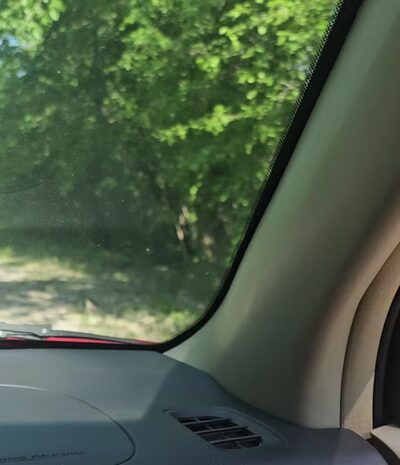 Grant Woods Forest Preserve - Ingleside, IL