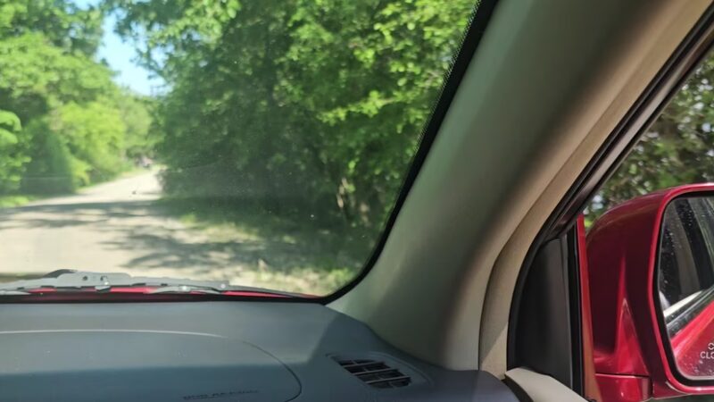 Grant Woods Forest Preserve - Ingleside, IL