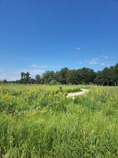 Grant Woods Forest Preserve - Ingleside, IL