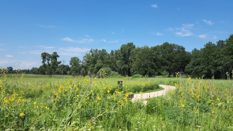 Grant Woods Forest Preserve - Ingleside, IL