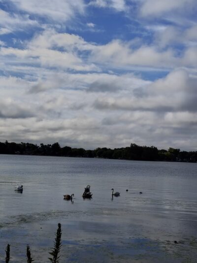Grant Woods Forest Preserve - Ingleside, IL