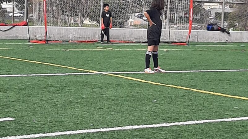 Edward Vincent Jr. Soccer Fields - Inglewood, CA