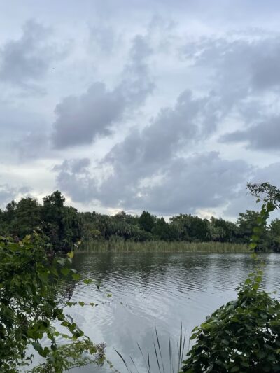 Inglis Lock Recreation Area - Inglis, FL