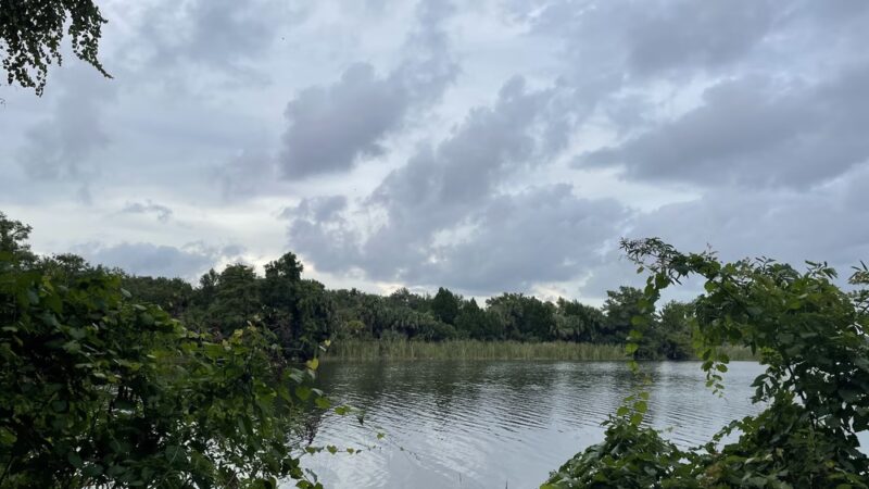 Inglis Lock Recreation Area - Inglis, FL