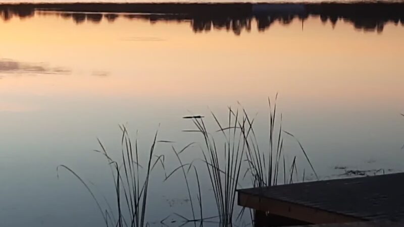 Inglis park - Inglis, FL
