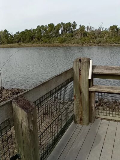 Overlook Point - Inglis, FL